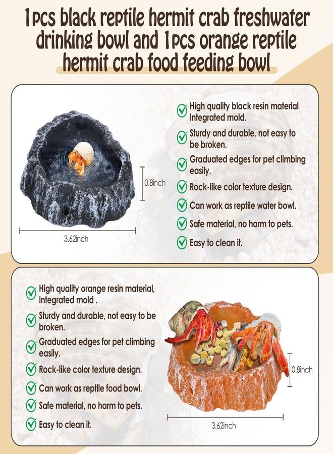 NestBasics 6 Pack Hermit Crab Accessories Hermit Crab Bathing Pool with Ramp Reptile Hermit Crab Water Food Bowls Dish Starter Kits for Hermit Crab Leopard Gecko Frog Spider Lizard Turtle Bearded Dragon etc - Image 4
